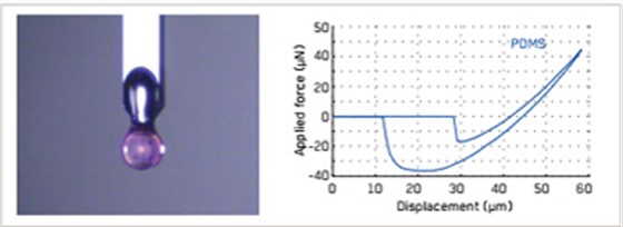 软物质材料纳米压痕