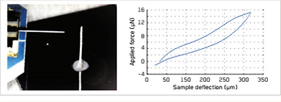 PT-PDMS高分子复合材料微电极测试