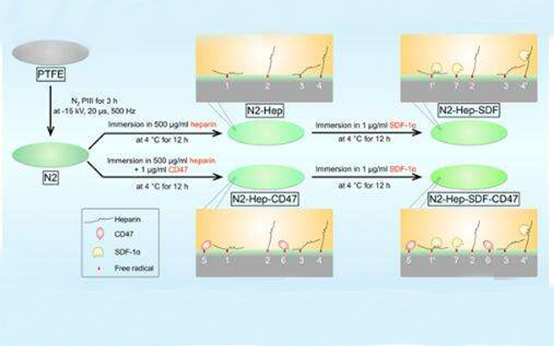 等离子体表面处理机处理高分子材料