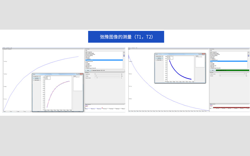 台式核磁共振成像系统对弛豫图像的测量（T1、T2）