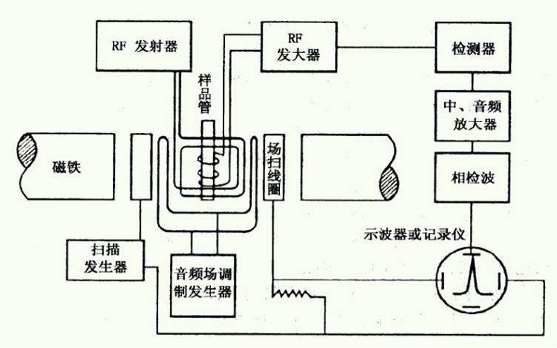 超导核磁共振波谱分析