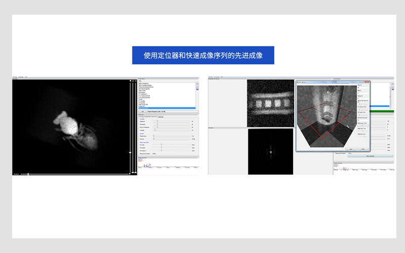 核磁共振成像实验