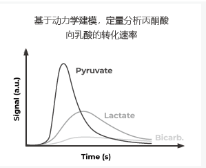 超极化磁共振成像示踪剂 超极化磁共振成像示踪剂