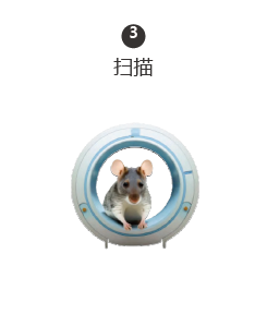 超极化磁共振成像示踪剂 超极化磁共振成像示踪剂