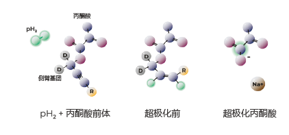 超极化磁共振成像示踪剂 超极化磁共振成像示踪剂